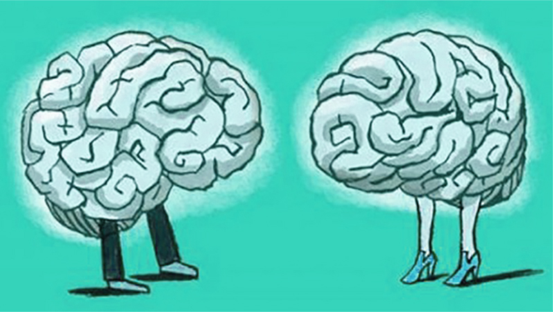 male testosterone investment