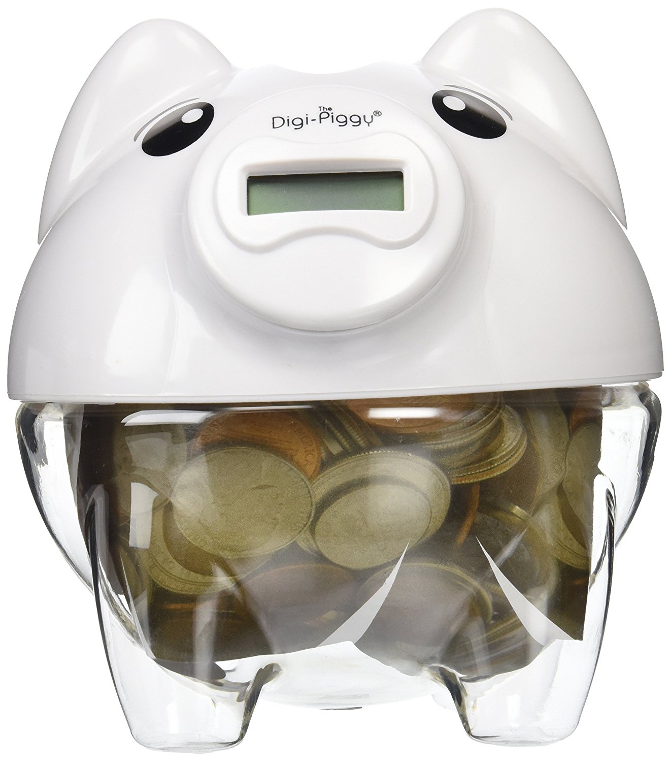 Piggy Bank Savings